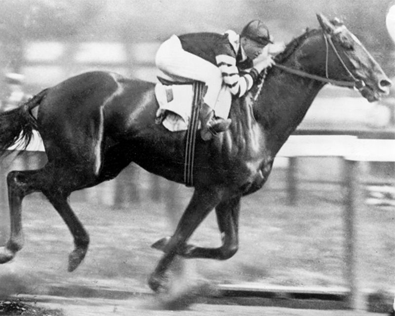 Man o' War at the Belmont Stakes image. Click for full size.