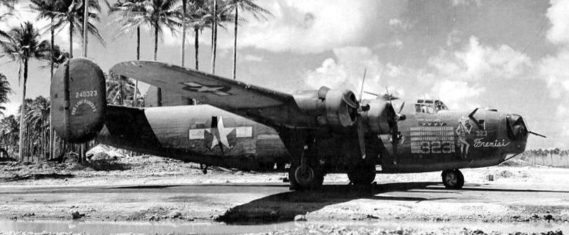 "Frenisi" B-24D-50-CO s/n 42-40323 424th Bombardment Squadron, 307th Bombardment Group image. Click for full size.