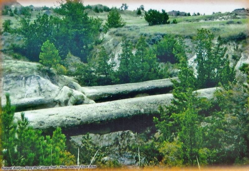 Marker detail: Natural Bridges Along the Calypso Trail. Click for full size. Marker detail: Natural Bridges Along the Calypso Trail image. Click for full size.