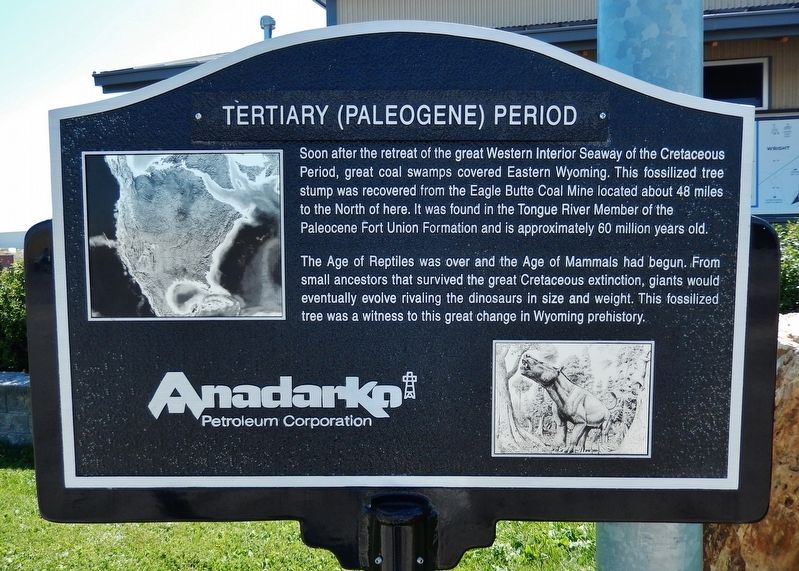 Tertiary (Paleogene) Period Marker image. Click for full size.