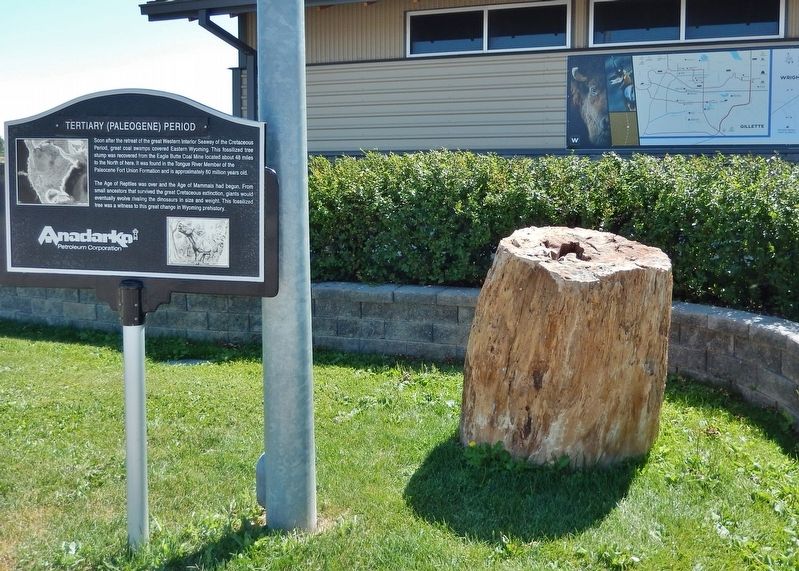 Fossilized Tree Trunk (<i>adjacent to marker</i>). Click for full size. Fossilized Tree Trunk (<i>adjacent to marker</i>) image. Click for full size.