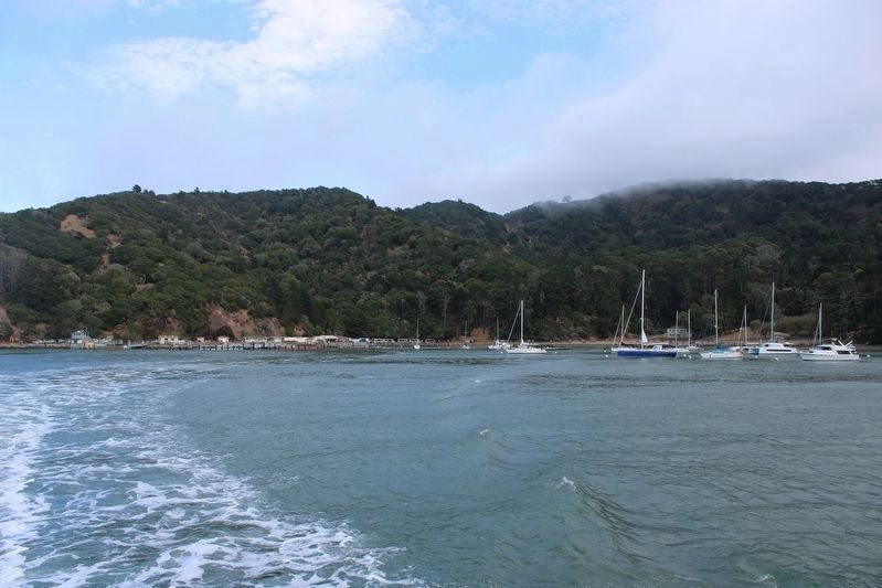 View of Ayala Cove from a ferry image. Click for full size.