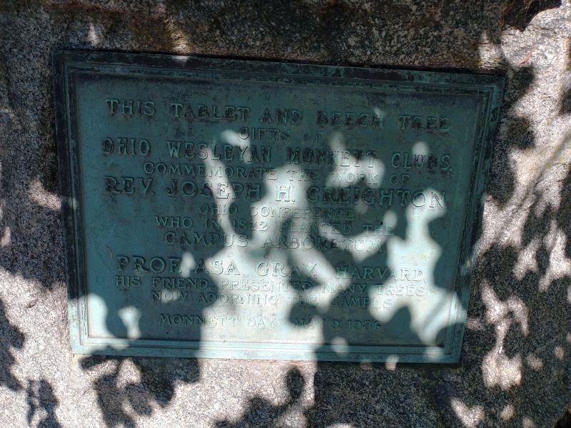 This Tablet and Beech Tree Marker image. Click for full size.
