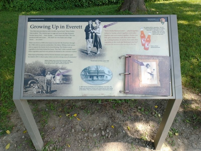 Growing up in Everett Marker image. Click for full size.
