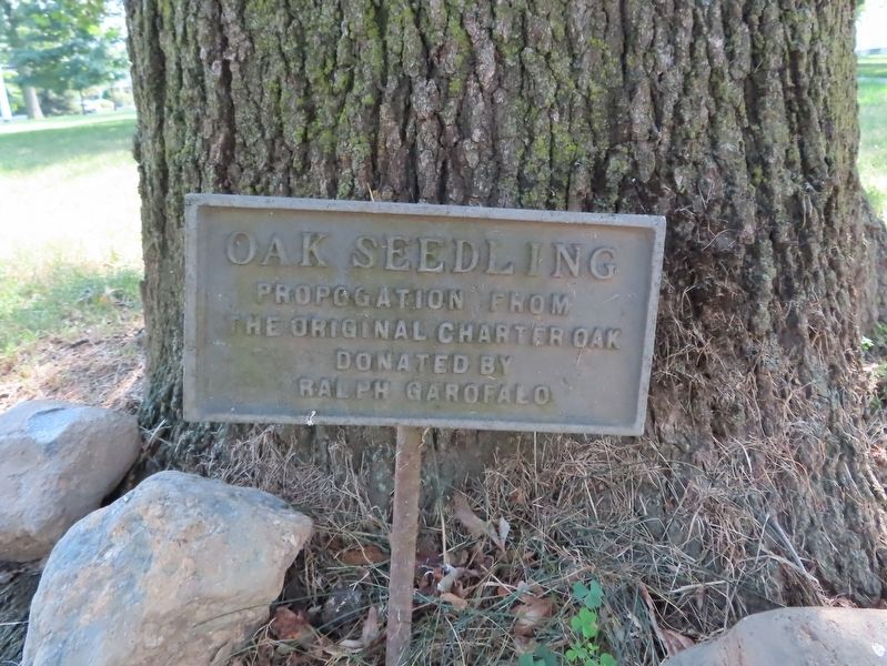 Plaque at the base of the Tree. Click for full size. Plaque at the base of the Tree image. Click for full size.