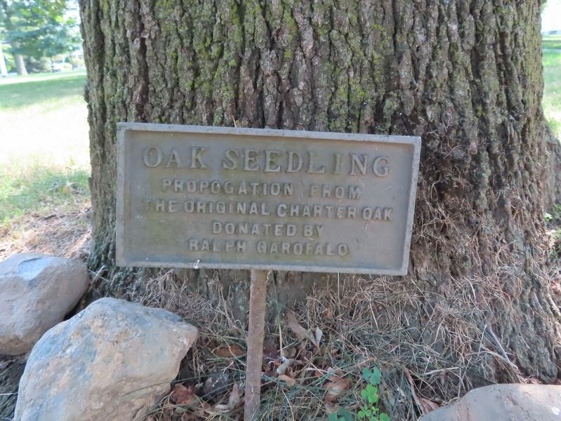 Plaque at the base of the Tree image. Click for full size.