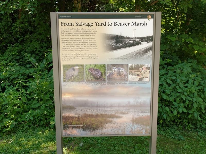 From Salvage Yard to Beaver Marsh Marker image. Click for full size.