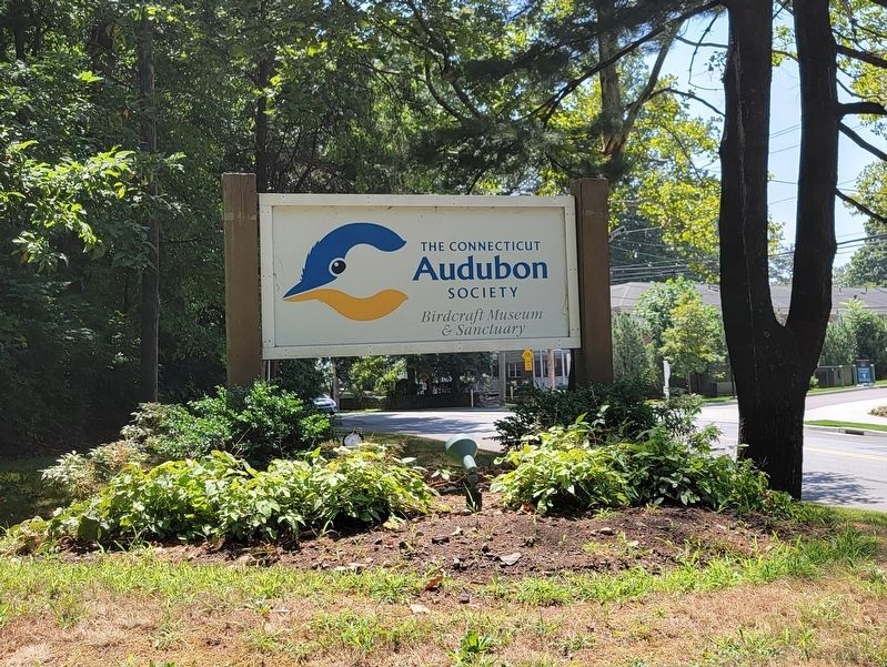 Connecticut Audubon Birdcraft Museum image. Click for full size.