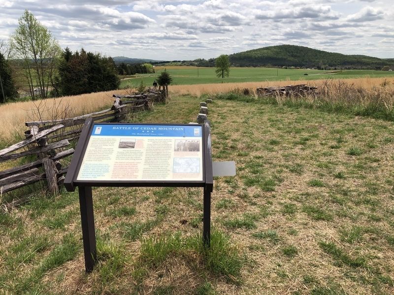 Battle of Cedar Mountain Marker image. Click for full size.