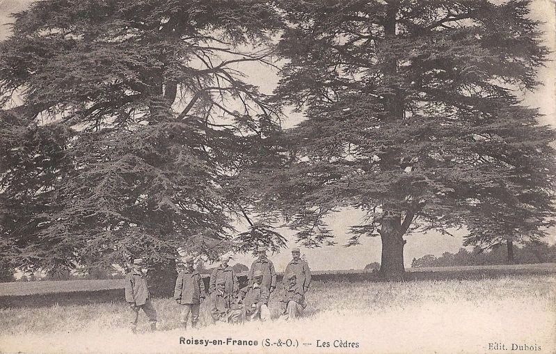 <i>Roissy-en-France (S.-&-O.) - Les Cdres</i> (postcard on marker) image. Click for full size.