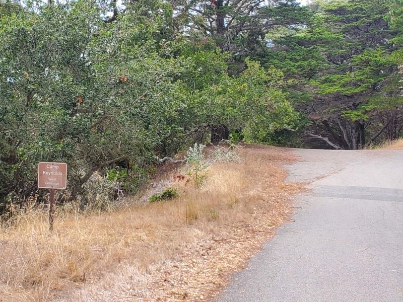 Path leading off Perimeter Road towards the chapel and Camp Reynolds image. Click for full size.