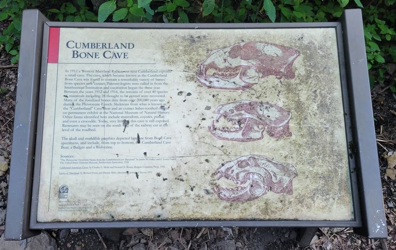 Cumberland Bone Cave Marker image. Click for full size.