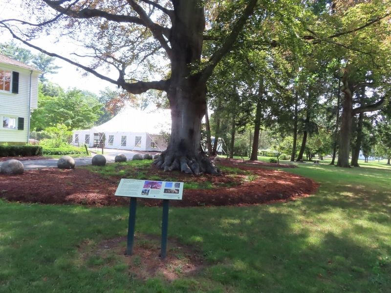 Remarkable Trees Marker image. Click for full size.