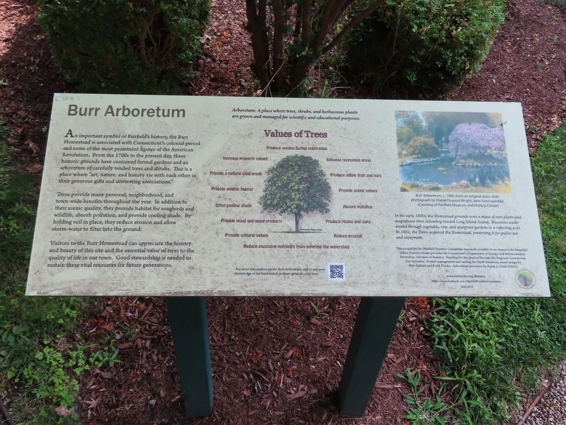 Burr Arboretum Marker image. Click for full size.