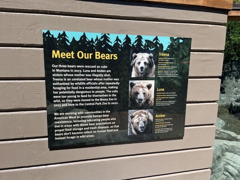 Meet Our Bears Marker image. Click for full size.