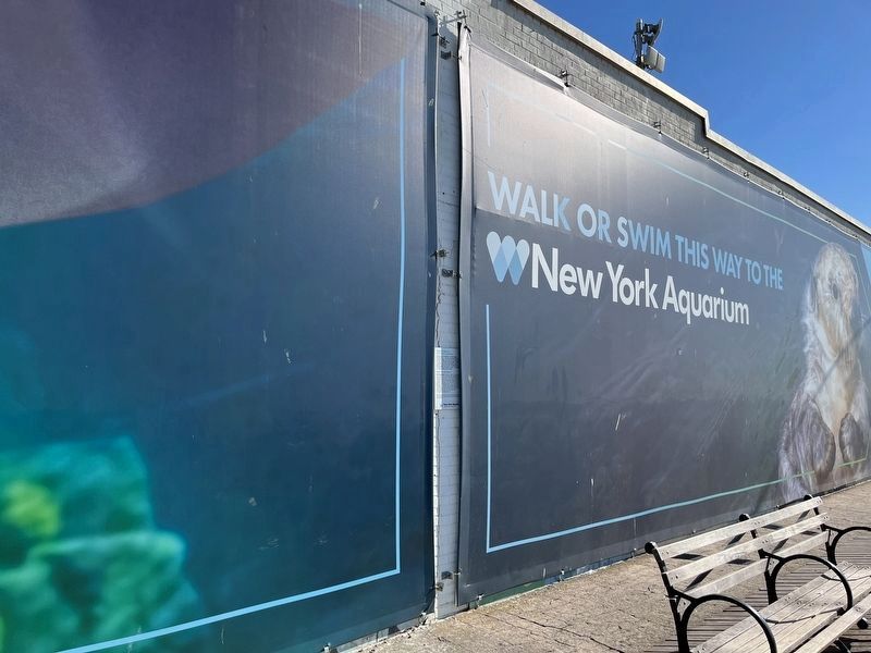 New York Aquarium 2017 Mural Competition / Thomas Manco Marker image. Click for full size.