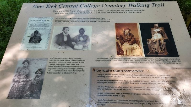 New York Central College Cemetery Walking Trail sign #3 image. Click for full size.