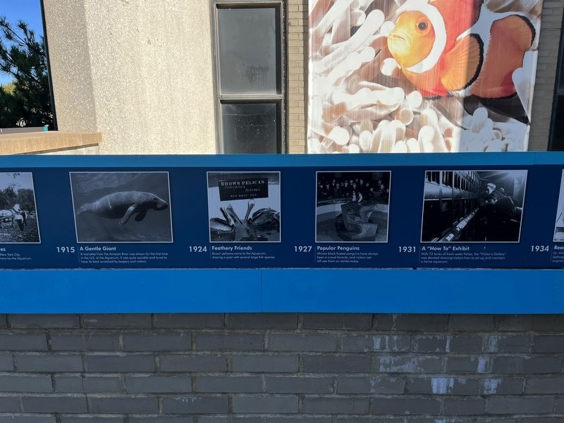 The History of the New York Aquarium Marker image. Click for full size.