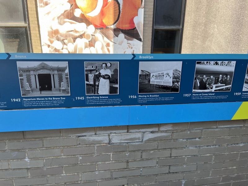 The History of the New York Aquarium Marker image. Click for full size.