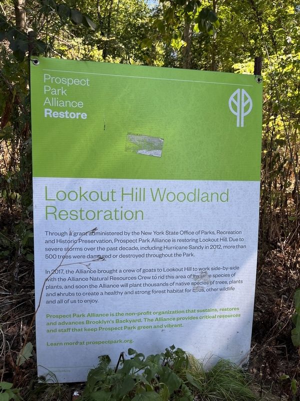 Lookout Hill Woodland Restoration Marker image. Click for full size.
