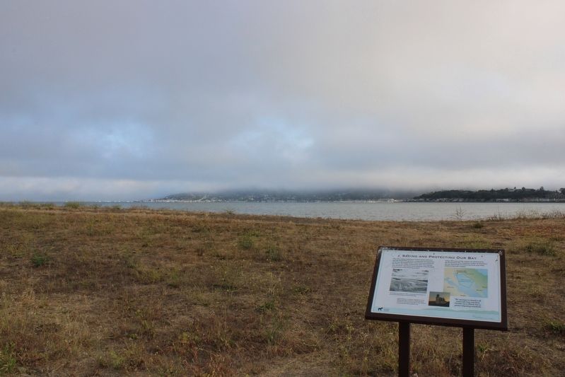 Saving and Protecting Our Bay Marker image. Click for full size.