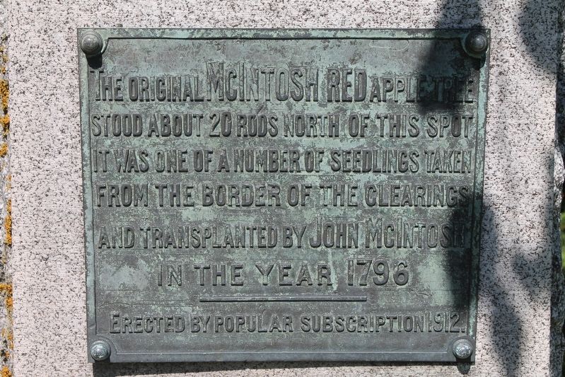 The Original MacIntosh Red Apple Tree Marker image. Click for full size.
