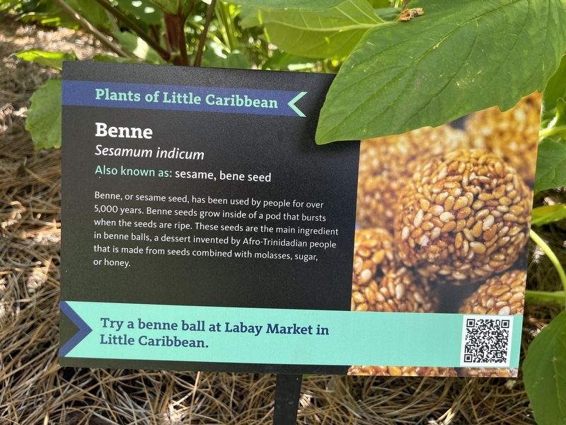 Benne Marker image. Click for full size.