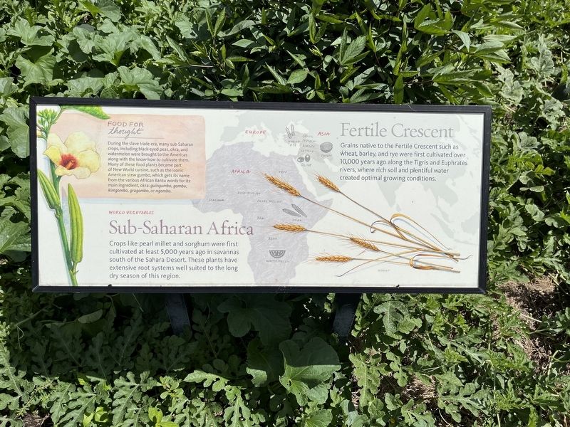 Sub-Saharan Africa / Fertile Crescent Marker image. Click for full size.