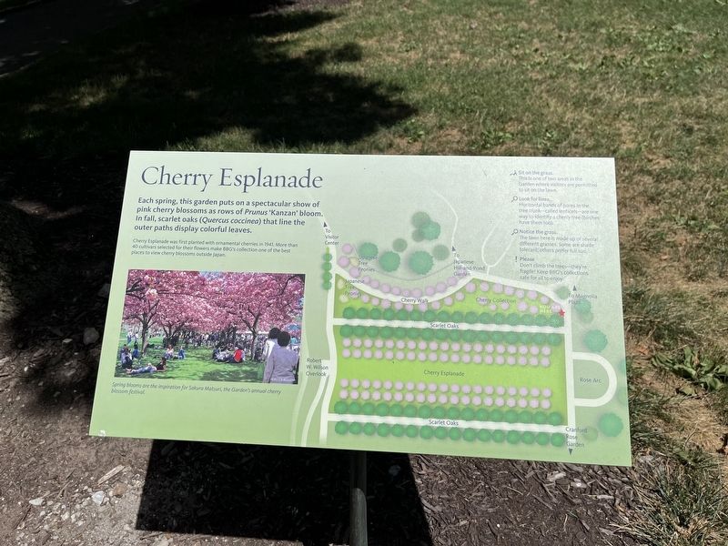 Cherry Esplanade Marker image. Click for full size.