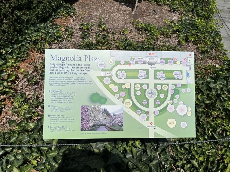 Magnolia Plaza Marker image. Click for full size.