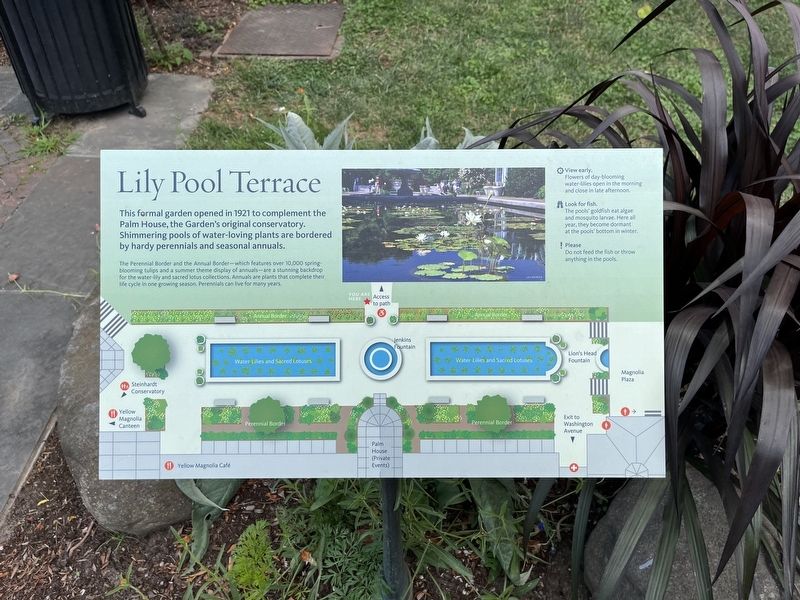 Lily Pool Terrace Marker image. Click for full size.