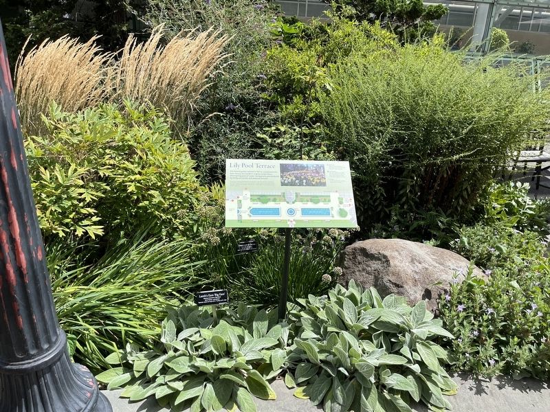 Lily Pool Terrace Marker. Click for full size. Lily Pool Terrace Marker image. Click for full size.