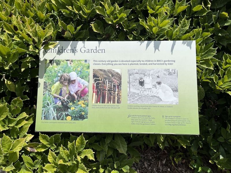 Children's Garden Marker. Click for full size. Children's Garden Marker image. Click for full size.