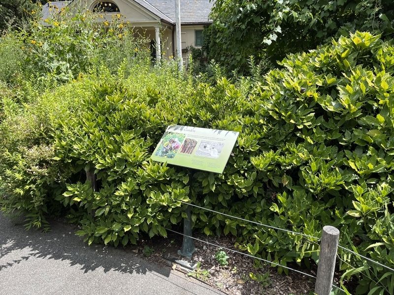 Children's Garden Marker. Click for full size. Children's Garden Marker image. Click for full size.