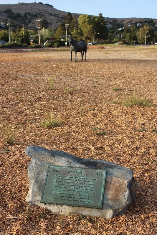 Blackie plaque and statue image. Click for full size.