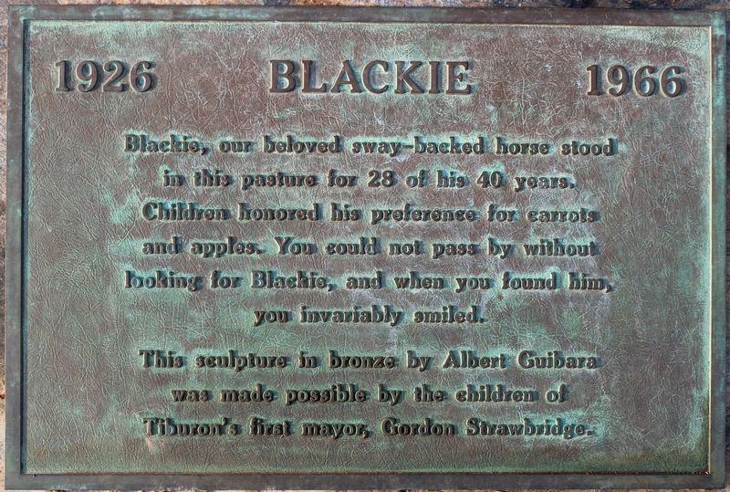 Blackie Plaque. Click for full size. Blackie Plaque image. Click for full size.