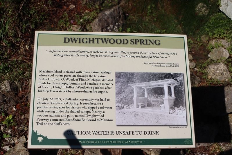 Dwightwood Spring Marker. Click for full size. Dwightwood Spring Marker image. Click for full size.