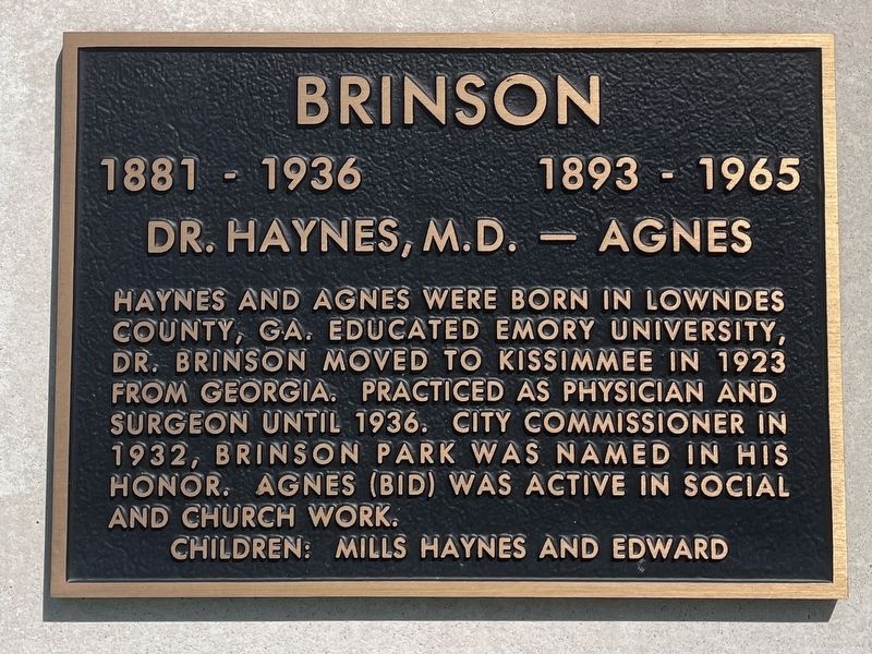 Dr. Haynes and Agnes Brinson Marker image. Click for full size.