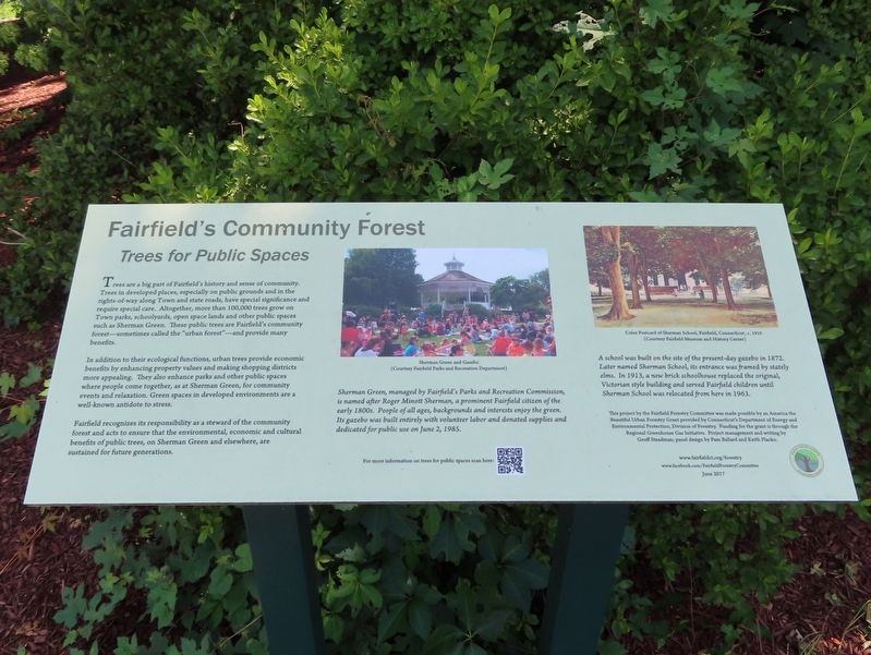 Fairfield’s Community Forest Marker image. Click for full size.