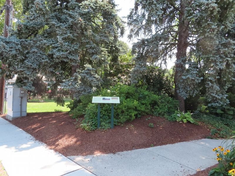 Fairfield’s Community Forest Marker. Click for full size. Fairfield’s Community Forest Marker image. Click for full size.