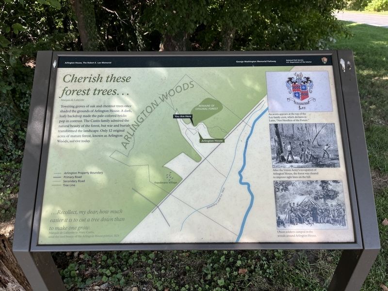 <i>Cherish these forest trees�</i> Marker image. Click for full size.