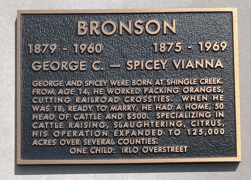 George C. and Spivey Vianna Bronson Marker image. Click for full size.