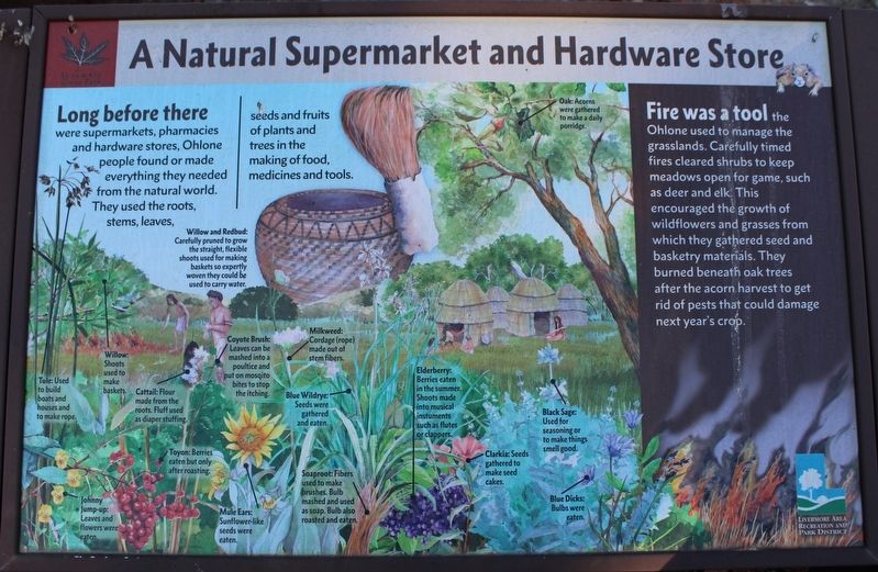 A Natural Supermarket and Hardware Store Marker image. Click for full size.