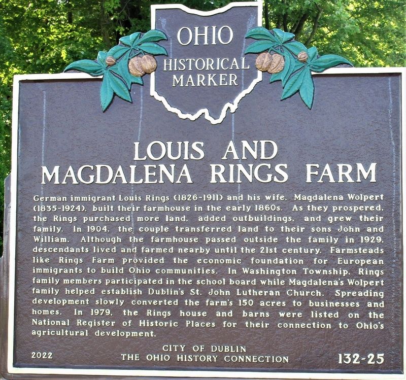 Louis and Magdalena Rings Farm Marker image. Click for full size.