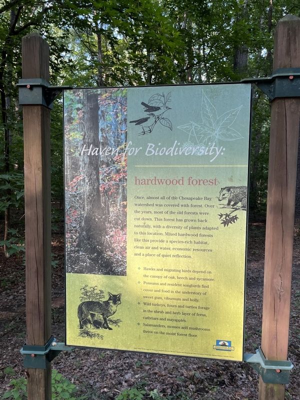 Haven for Biodiversity: hardwood forest Marker image. Click for full size.