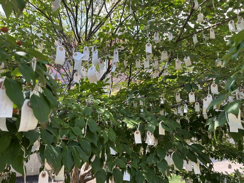 The <i>Wish Tree</i> closeup with wishes tied to it image. Click for full size.