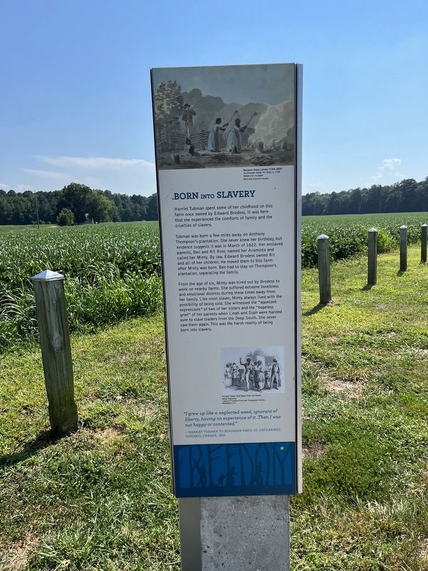 Brodess Farm Marker image. Click for full size.