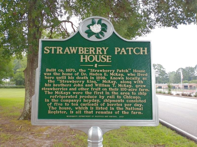Strawberry Patch House Marker image. Click for full size.