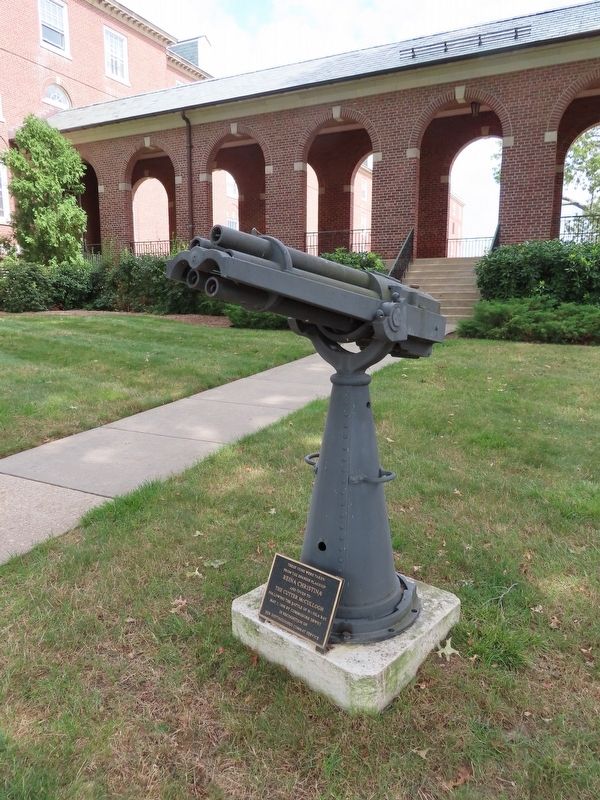 Guns from Reina Christina Marker. Click for full size. Guns from Reina Christina Marker image. Click for full size.