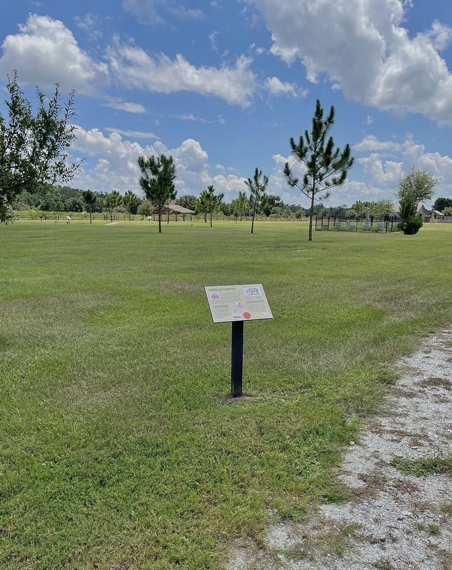 Pioneer Pantry Marker image. Click for full size.